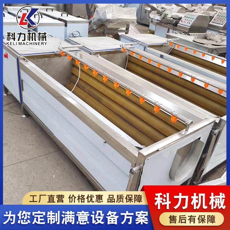 供应中药材自动清洗机 桔梗去皮机 清洗去皮机虫草参清洗机