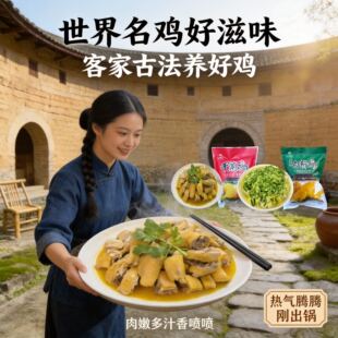 福建特产长汀河田鸡干蒸白斩鸡农家土公鸡散养走地小母鸡湖洋蒸鸡