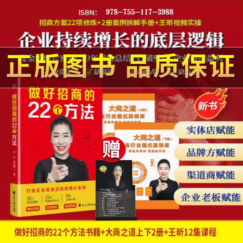 做好招商的22个方法王昕著