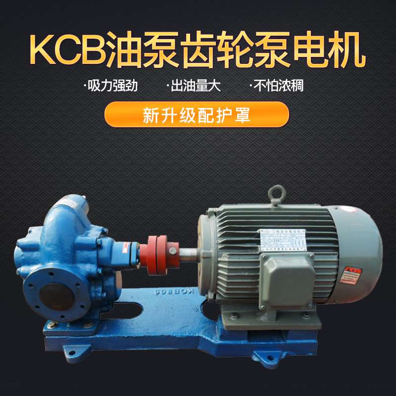 厂家直销KCB、2CY 不锈钢齿轮油泵 KCB齿轮油泵1.5KW 浙江齿轮泵