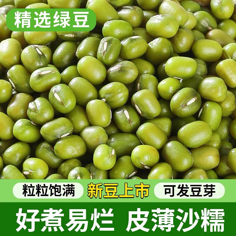 新货绿豆农家新鲜优质绿豆发豆芽专用绿豆汤绿豆粥原材料绿豆沙冰