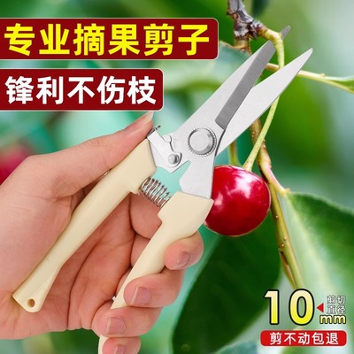 园艺园林果树剪刀修剪树枝神器家用绿化枝修剪刀专用工具剪枝植物