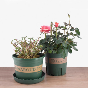 多肉加厚透气控根阳台家用大 塑料矮胖绿萝月季 花盆 加仑A1pn088