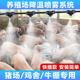养殖场喷雾降温喷淋系统鸡舍猪场养牛定时雾化系统屋顶降温设备