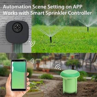 and Temperature Humidity Meter Greenhouse Soil for Tester