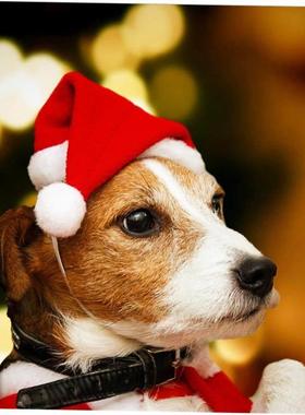 Decorate decoration pet Santa hats for Christmas 宠物圣诞帽