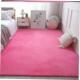地毯垫 for Area Fluffy Floor Rugs Shaggy Carpet Bedroom Mat