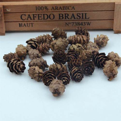 50pcs Natural Cheap Mini Pine Nuts Artificial Fake Fruit Veg