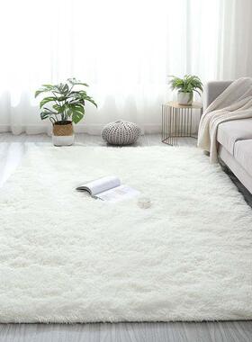 Plush Carpet Living Room Bedroom Fluffy Rug Floor Mat 地毯子
