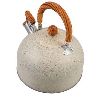 Kettle Stainless Scalding Whistling Anti Handle Steel