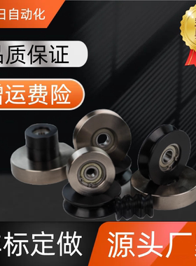 V型导向轮WBSN WBSB WBS-D20 D30 D40-Z3 Z5 Z6-d3 d5 d8 d10 d12