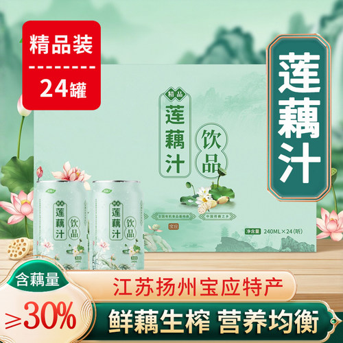 扬州宝应特产淘藕人莲藕汁饮料