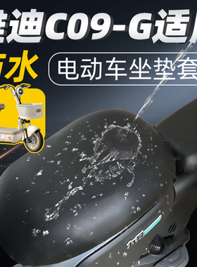 适用于雅迪c09-G座套新国标电动车坐垫套配件电瓶车防水防晒座椅