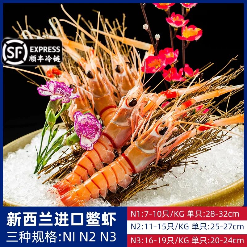 新西兰鳌虾进口斯干比南极深海野生龙虾1/2/3号1kg海鳌虾刺身特大