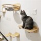 新品 太空舱窝猫爬S架跳台猫墙吊床 实木免打孔免钉猫咪墙上壁挂式