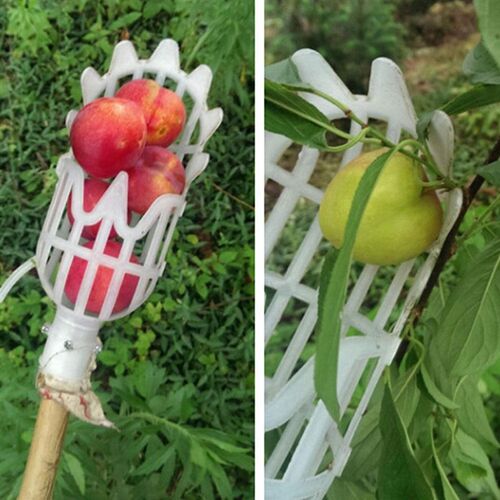 极速Garden Fruit Picker Fruit Catcher Multi-Color PlasZtic F
