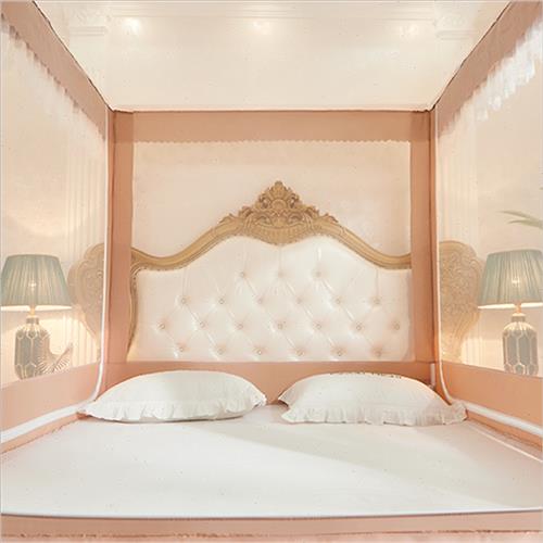 极速U型外穿f杆拉链坐床式蚊帐三开门方顶宫廷支架加密加厚双人家