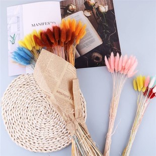 Flvower Bunny Tail 极速30 Rabbit Artificial Plants Gra 50PCS