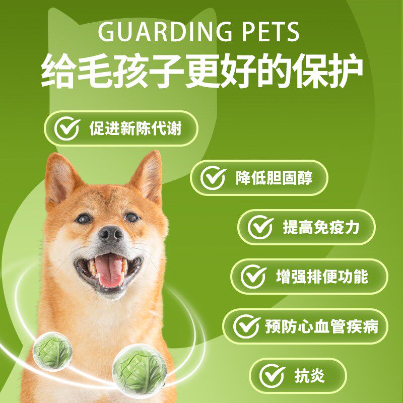 新品蔬菜冻干狗零k食宠物泰迪狗狗孢子甘蓝水果冻干蔬菜干拌饭狗