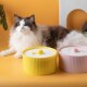 新品 猫咪饮水机流动饮水器自动宠物喂水碗过滤循S环猫咪狗喝水神