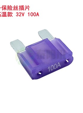 极速力特大号汽车保险丝大电流车载插片保护器20A304050607Y08090