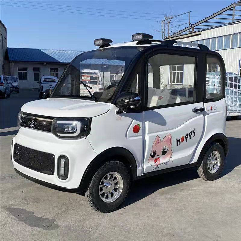 极速全封闭电动四轮车油电两用电瓶D车女士家用新款老年代步车包