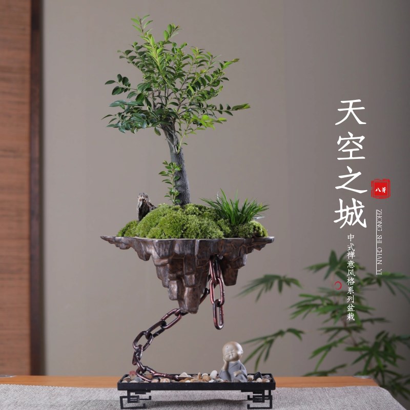 极速新品天空之i城f小叶紫檀黑骨茶苔藓禅意绿植盆景栽办公室内书
