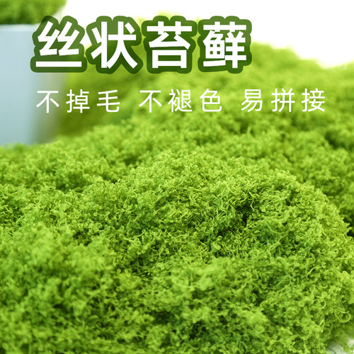 松雨丝状苔藓简约风防晒透水