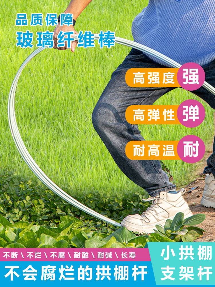 搭棚架子新型拱棚支架小棚拱杆塑料大棚骨架菜棚支架种菜棚架育苗 鲜花速递/花卉仿真/绿植园艺 其它园艺用品 原图主图