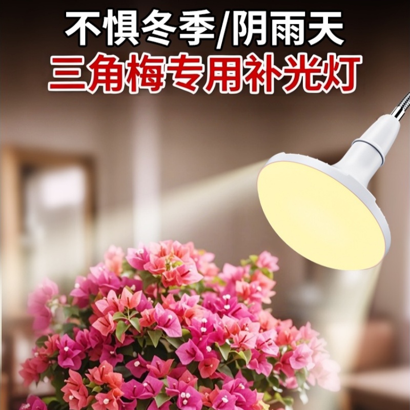 三角梅专用补光灯全光谱植物生长灯室内模拟太阳光灯LED光合作用