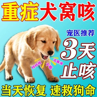 犬窝咳特效药狗咳嗽干呕感冒发烧专用独速清正品宠物抗病毒窝咳净