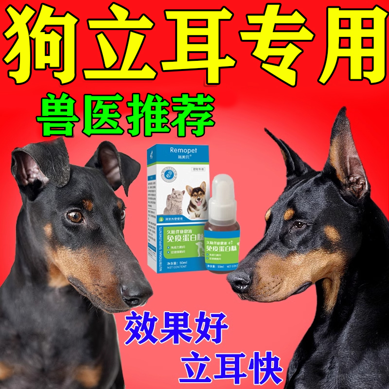 狗狗立耳神器雪纳瑞黑狼犬