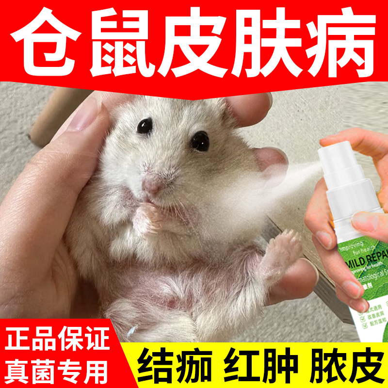 仓鼠皮肤病治真菌感染