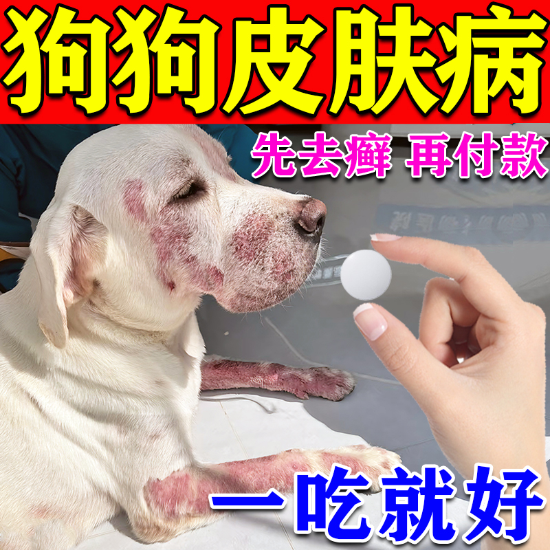 狗狗真菌感染口服药狗身上长癣