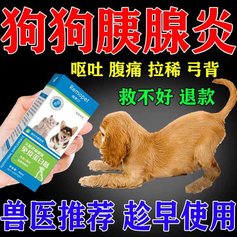 狗狗药胰腺炎调理肠胃冶腹泻