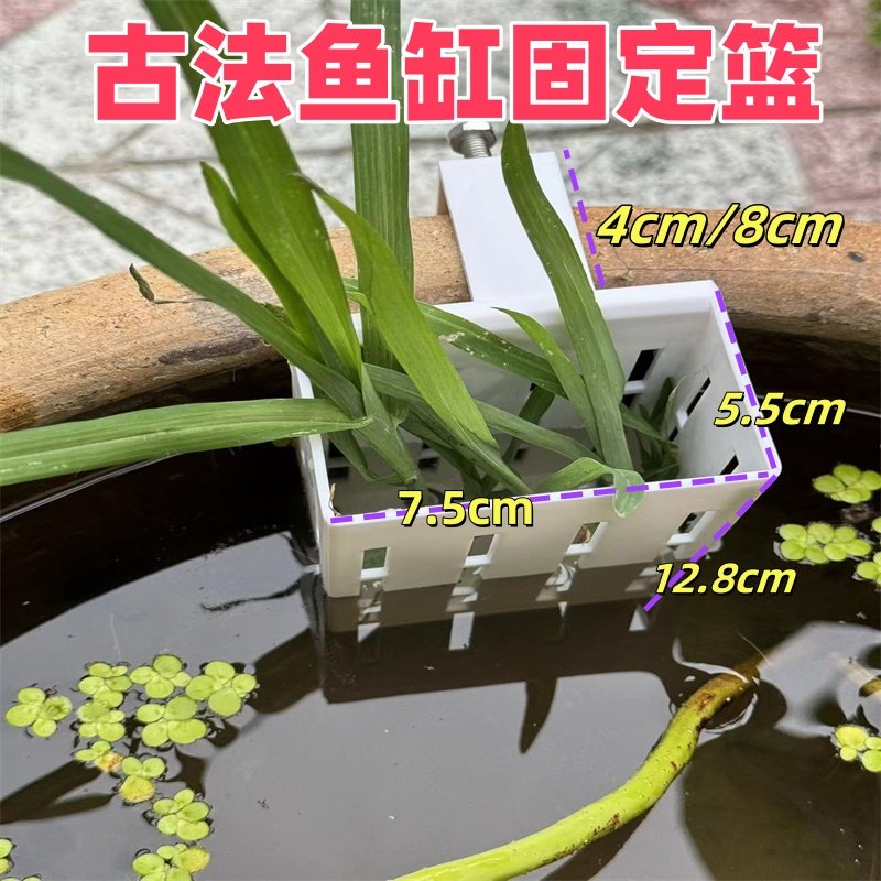 古法养鱼固定架鱼缸水培植物壁挂水草