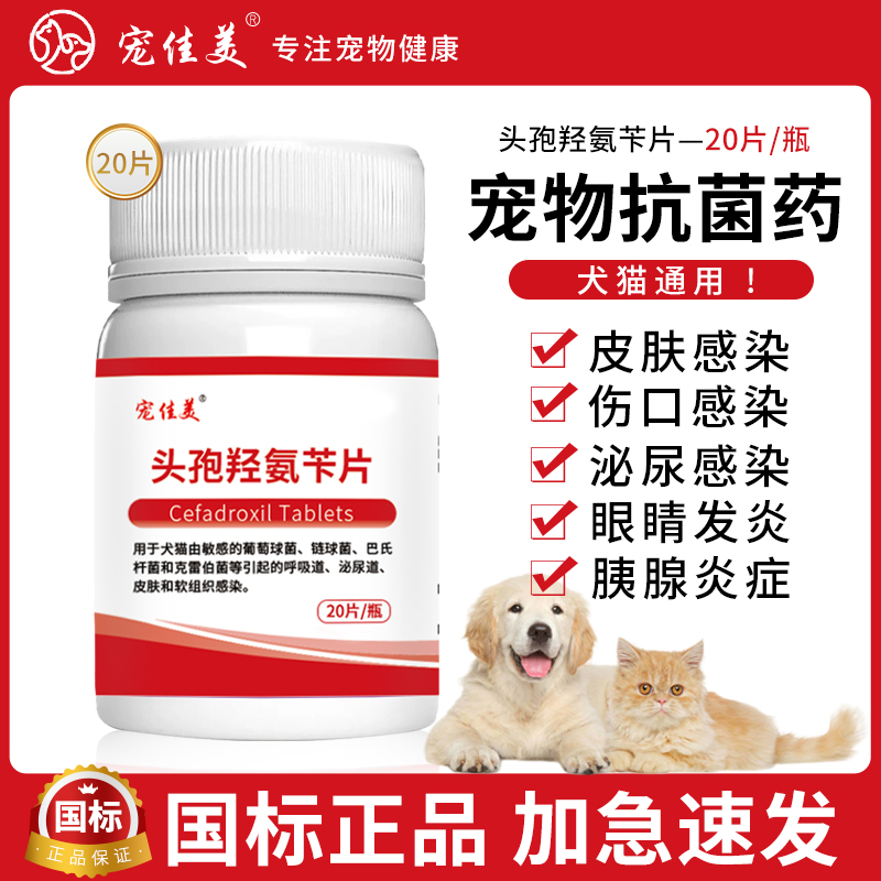 宠物头孢羟氨苄片狗狗猫咪