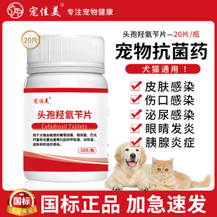 宠物头孢羟氨苄片狗狗猫咪犬用脓皮症伤口消炎尿闭药尿路感染尿血