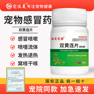 宠物猫咪狗狗双黄连片猫鼻支药感冒咳嗽双黄莲片流鼻涕打喷嚏清热
