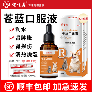 宠物用肾损伤猫咪腹水利尿苍蓝口服液狗狗肾肿胀清热燥湿中药制剂
