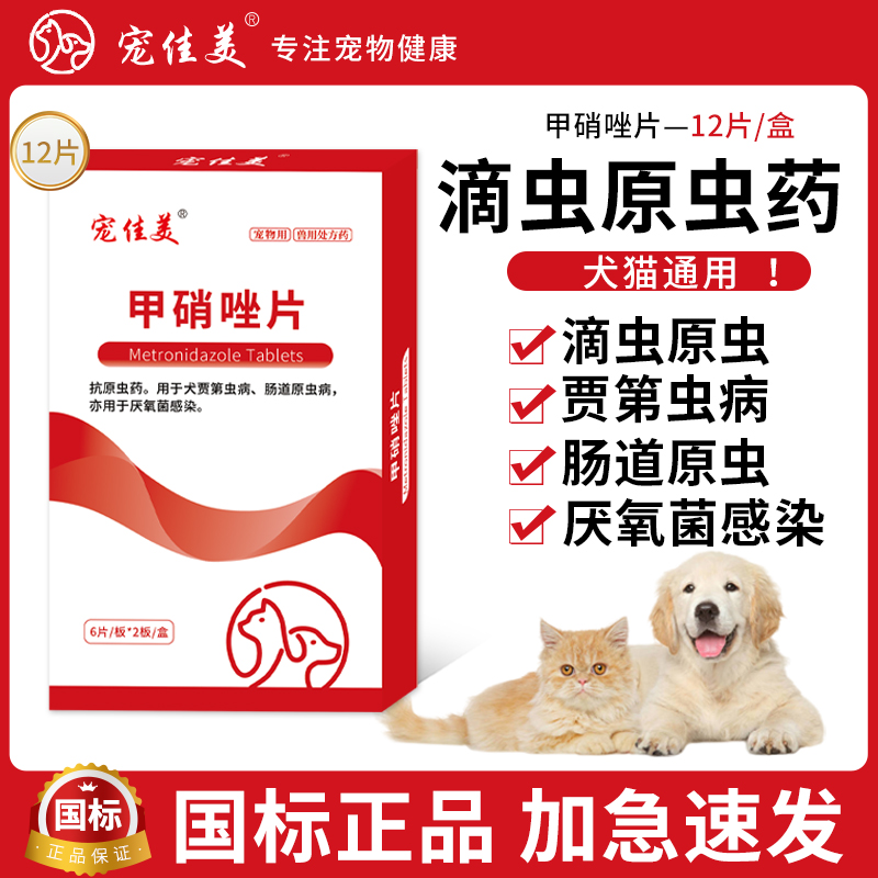顺丰包邮速发宠物滴虫感染便血