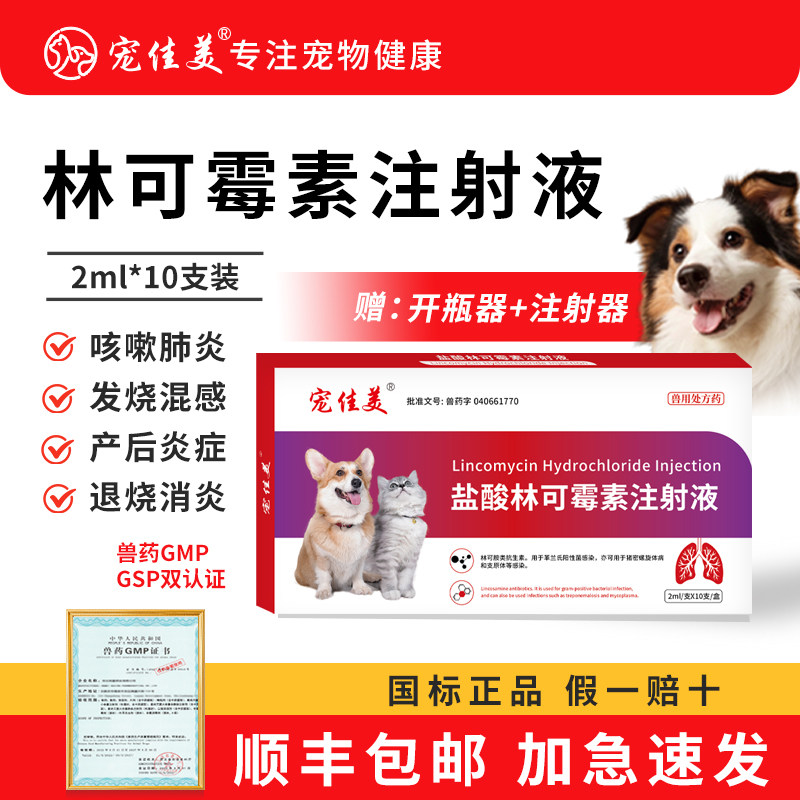 宠物用雾化套餐盐酸林可霉素注射液猫咪雾化药犬窝咳喷嚏咳嗽肺炎,宠物/宠物食品及用品,猫呼吸道疾病药品,淘宝优惠券,粉丝福利购,淘宝优惠卷