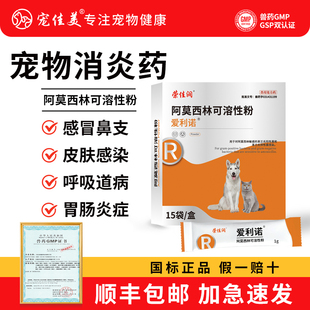 宠物阿莫西林粉感冒消炎药猫咪狗狗咳嗽感冒打喷嚏猫鼻支治疗猫咪