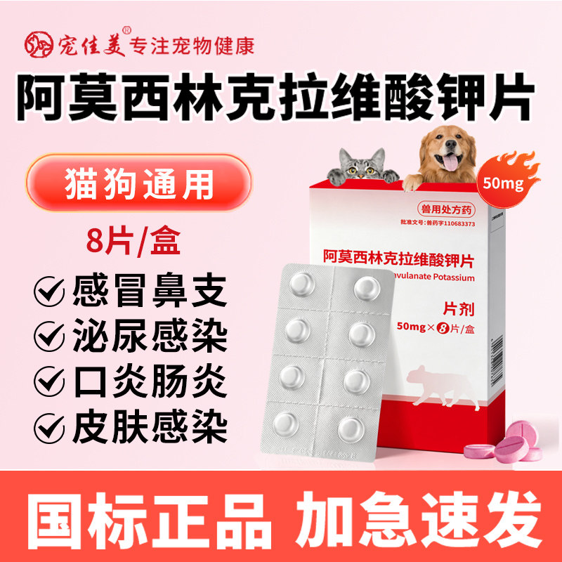 阿莫西林克拉维酸钾片咳嗽猫鼻支