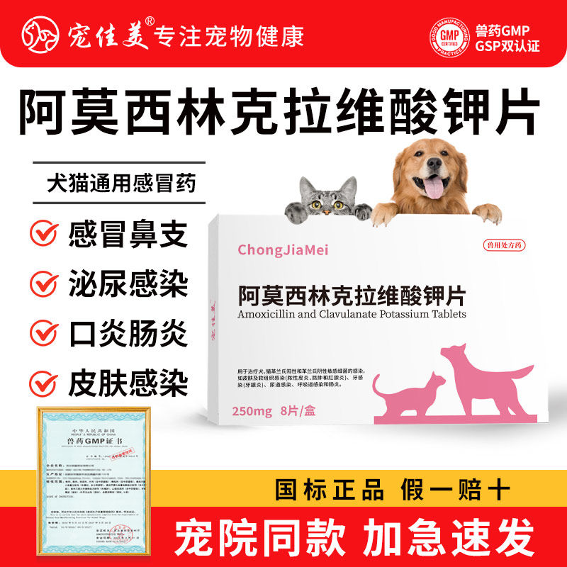 250mg阿莫西林克拉维酸钾片猫咪狗狗速感冒咳嗽诺猫鼻支猫消炎片