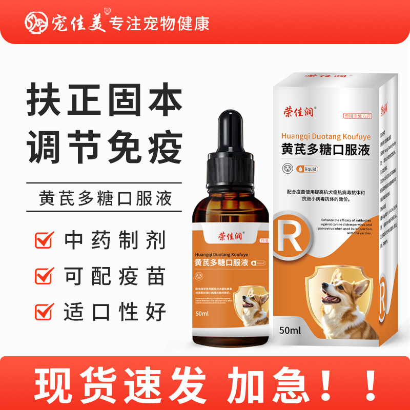 宠物黄芪多糖口服液猫咪狗狗辅助营养补充液抗病应毒激疫苗伴侣