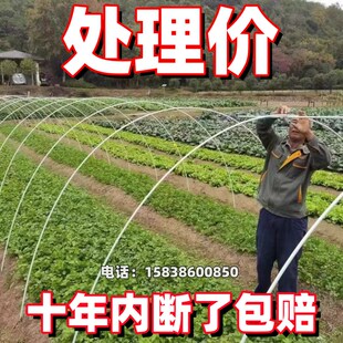 拱棚支架玻璃纤维搭棚小工育苗种菜遮阳棚小拱棚架子纤维棒蔬菜棍