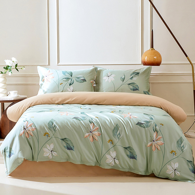 60支长绒棉四件套全棉纯棉2024新款100床单被套床笠款床上用品三