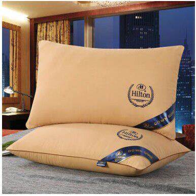 羽丝绒护颈枕头 velvet healthy neck head care memory pillows