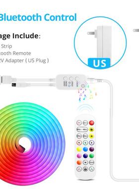 12V LED Strip Neon Lights Tuya Smart Life WiFi Bluetooth RGB